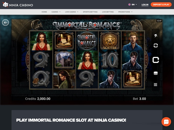 Ninja Casino Online Casino Review
