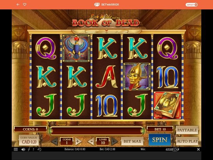 Online Casino V Pay