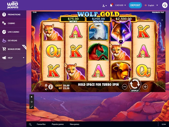 wild jackpots casino no deposit bonus codes