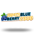 Super Blueberry 2020