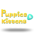Puppies and Kittens