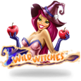 Wild Witches by NetEntertainment