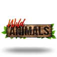Wild Animals by Red Rake Gaming