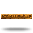Whisker Jones by 1x2gaming