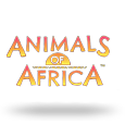 Animals Of Africa by Gold Coin Studios