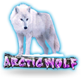 Arctic Wolf