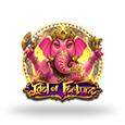 Idol Of Fortune by Play n GO