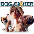 Dog Ca$her by Stakelogic