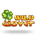 Wild Clover by CT Interactive