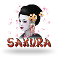 Sakura by Join Games