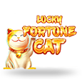 Lucky Fortune Cat by Red Tiger Gaming