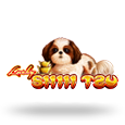 Lucky Shih Tzu by Spin Games