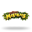 Meet The Meerkats by Push Gaming