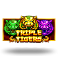 Triple Tigers by Pragmatic Play
