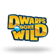 Dwarfs Gone Wild by Quickspin