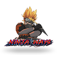 Ninja Ways by Red Tiger Gaming