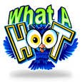 What a Hoot by Games Global