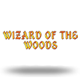 Wizard of the Woods by 2by2 Gaming