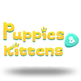 Puppies and Kittens by Capecod Gaming