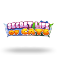 Secret Life Of Cats by Arrows Edge