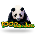 100 Pandas by IGT