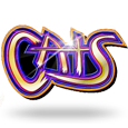 Cats by IGT
