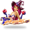 Wild Witches by NetEntertainment