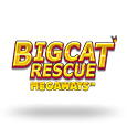 Big Cat Rescue MegaWays by Red Tiger Gaming