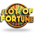 Slot of Fortune by Stakelogic