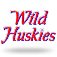 Wild Huskies by Bally Technologies