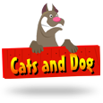 Cats &amp; Dog by B3W