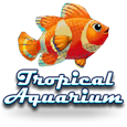 Tropical Aquarium by Multi Slot Casinos
