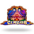 Circus by Playson