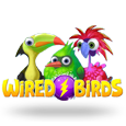 Wired Birds by Daub