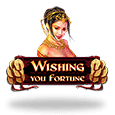 Wishing You Fortune by WMS