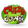 Crazy Cows by Play n GO