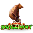 Circus Brilliant by Amusnet Interactive