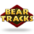 Bear Tracks by Novomatic