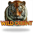 Wild Orient by Games Global