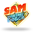 Sam on the Beach