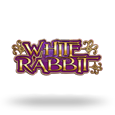 White Rabbit by Big Time Gaming