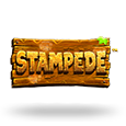 Stampede