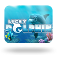 Lucky Dolphin