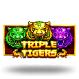 Triple Tigers