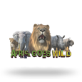 Africa Goes Wild