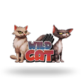 Wild Cat