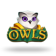 Owls by NoLimit City