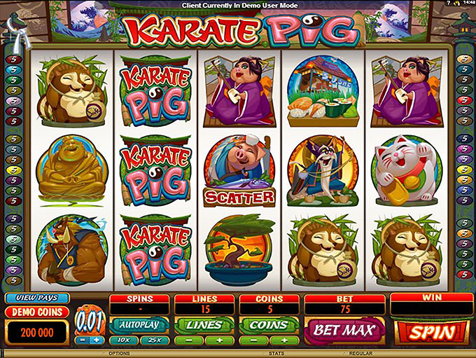 Karate Pig by Games Global