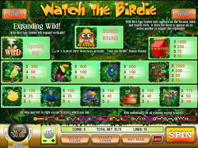 Watch the Birdie by Rival