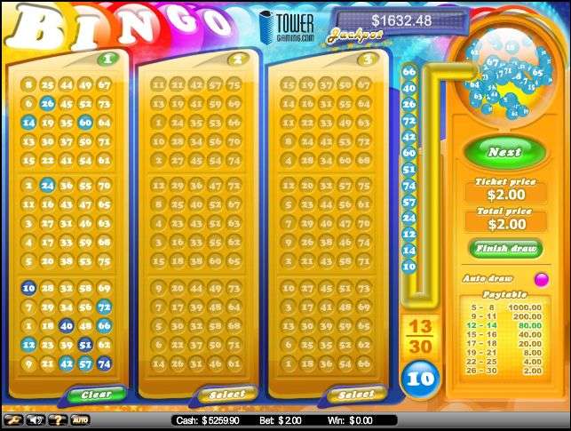 Bingo by NetEntertainment